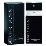 Silver Scent Spray EDT 100ml-M